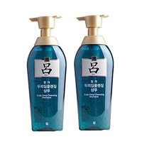 RYOE 吕 黑吕 莹韧滋养固发洗发水400ml* 2（韩国品牌）