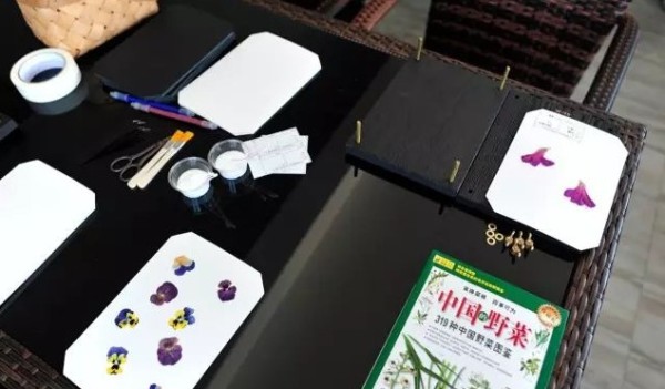 上海吾舍农场 樱桃亲子采摘/畅吃+送1.5斤樱桃