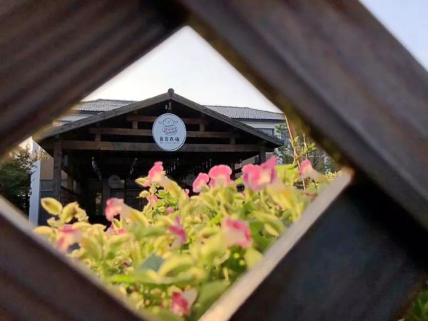 上海吾舍农场 樱桃亲子采摘/畅吃+送1.5斤樱桃