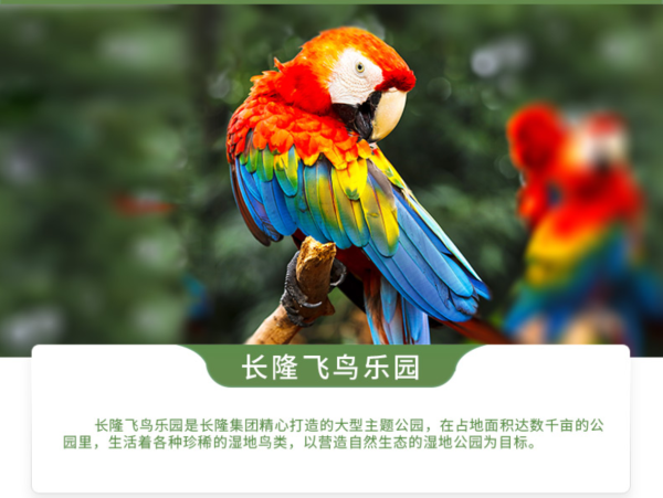 广州长隆飞鸟乐园门票 家庭票