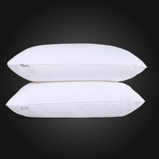MERCURY 水星家纺 PP505W01 纤维枕头 (倾世佳人、单人、48*74cm、一只装、纤维枕)