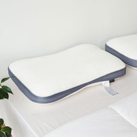 Befit 乳胶颗粒枕头 (单人、42*63cm、单支装、乳胶枕)