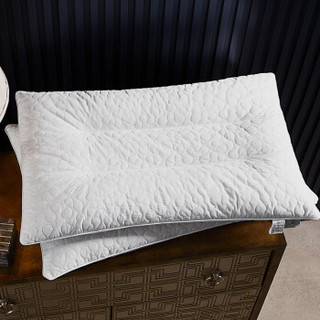 雪仑尔 D30314304010292 荞麦枕 (单人、 74*48cm 、一只装、荞麦枕)