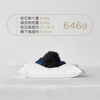 lovefeel 拉芙菲尔 QYB01180 儿童枕头 (单人、40*60cm、单支装、纤维枕)