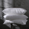 SNOWMAN 斯诺曼 纯棉枕头 (40*60cm、单人枕、一只装)