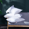 SNOWMAN 斯诺曼 羽绒枕头 (40*60cm、单人枕、一只装)