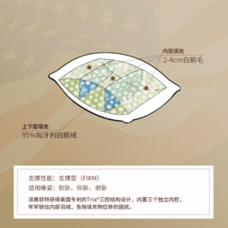 Pacific Coast 派赛菲特 22301 白鹅绒枕芯 (白色、单人、48*74cm、单支装、羽绒枕)