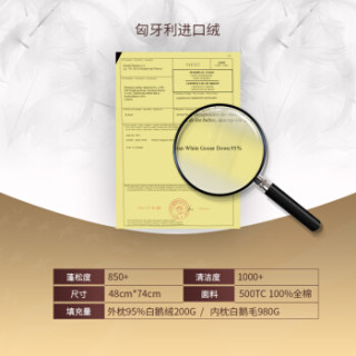Pacific Coast 派赛菲特 22301 白鹅绒枕芯 (白色、单人、48*74cm、单支装、羽绒枕)