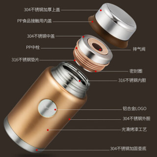 泰福高（TAFUCO）焖烧壶 316不锈钢保温焖烧罐焖烧杯保温粥桶 T-2231 鎏金色 1.2L