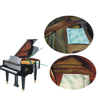 九绿竹 乐器柜防潮剂钢琴箱干燥剂吉他包除湿剂吸湿剂环保亲肤可重复使用 2件套装