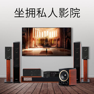 山水（SANSUI）F5 家庭影院 5.1音响组合套装 电视蓝牙音箱 家用音响支持解码 旗舰版