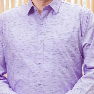 富贵鸟长袖衬衫2019新款男士中老年商务衬衣休闲纯色翻领上衣男装 浅紫 180/96A（2XL）