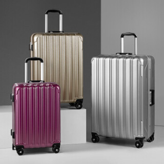 carany 卡拉羊 双杆万向轮拉杆箱旅行箱登机箱 cx8610 灰色 20英寸