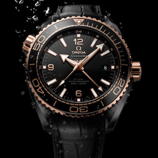 OMEGA 欧米茄 Seamaster海马系列 215.63.46.22.01.001 男士自动机械手表