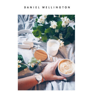 Daniel Wellington DanielWellington）DW表带14mm皮带玫瑰金针扣女款DW00200161（适用于32mm表盘系列）