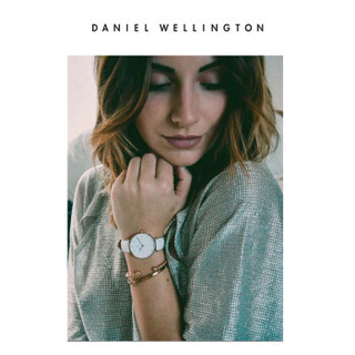 Daniel Wellington DanielWellington）DW表带14mm皮带玫瑰金针扣女款DW00200161（适用于32mm表盘系列）