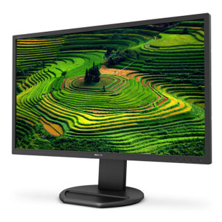 PHILIPS 飞利浦 272B8 27英寸显示器 2560×1440 IPS技术 60HZ