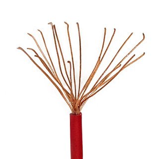 菊花 电线电缆BVR2.5平方 单芯多股铜线 家装家用铜芯电线 100米 红色火线