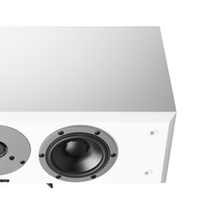 丹拿 DYNAUDIO 意境Emit M15 C HiFi无源中置音箱 家庭影院 5.1/7.1/9.1声道 缎白色 一只 来自丹麦