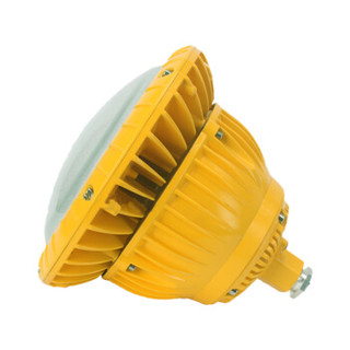 WZRLFB LED防爆泛光灯 RLB85-b 金黄色 70W