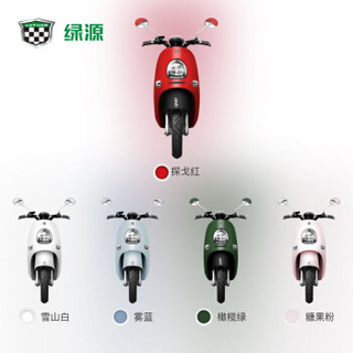 绿源（Luyuan）电动轻便摩托车电瓶车 新品60V 成人男女 MQQ5 型号LY800DQT 白色