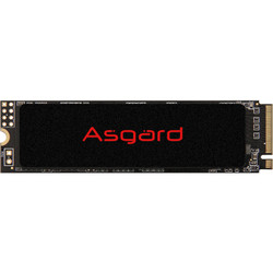 Asgard 阿斯加特 AN2系列 极速版 M.2 NVMe 固态硬盘 500GB