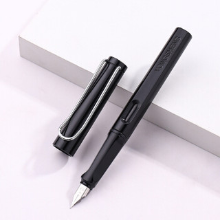 永生 9166 正姿两支装墨水钢笔套装  黑色F+黑色EF