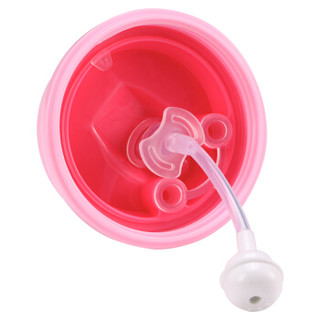 迪士尼（Disney）儿童水杯防摔宝宝吸管杯带重力球婴儿学饮杯婴幼童喝水杯 300ML