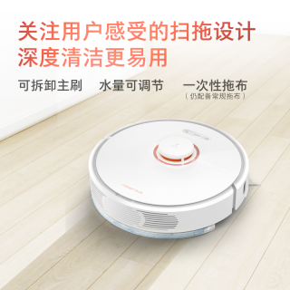 Roborock 石头 T61RR 扫地机器人 (云石金)