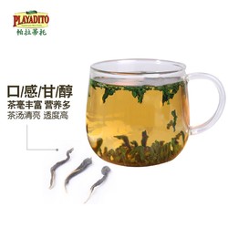 帕拉蒂托辣木茶 印度食用辣木籽茶叶非特级 辣木嫩叶