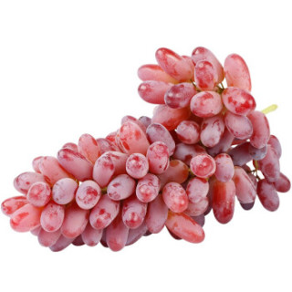 商品澳洲美人指红提1kg 新鲜手指提子无籽进口葡萄孕妇水果 顺丰 2斤
