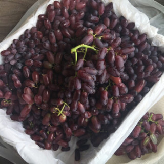 ZXC145葡萄/提子】 澳洲美人指红提1kg 新鲜手指提子无籽进口葡萄孕妇