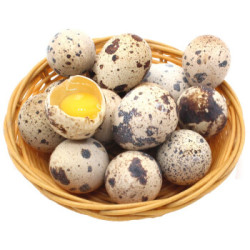 依禾农庄 新鲜鹌鹑蛋 105枚