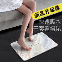 硅藻泥脚垫浴室防滑垫吸水速干硅藻土脚垫卫浴卫生间门口地垫家用