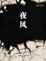 《夜风 一代才女萧红的散文集》Kindle电子书