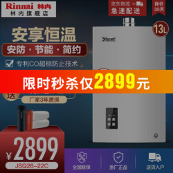 林内(Rinnai)燃气热水器天然气 13升智能精控恒温 CO安防 进口CPU E22 强排式 JSQ26-22C