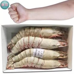 鲜佰客 越南活冻黑虎虾 1kg 10个头 虾长23cm *2件