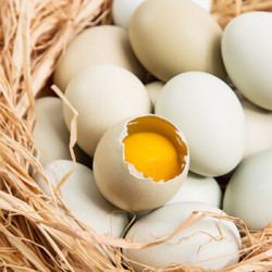 散养白凤乌鸡蛋15枚装2件