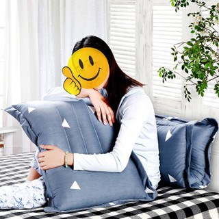 AVIVI 艾薇 护颈枕头 (单人、45*70cm、单支、长方形)