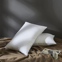 turqua 时光居品 6382309 纤维枕头 (白色、单人、48*74cm、一对装、九孔枕)