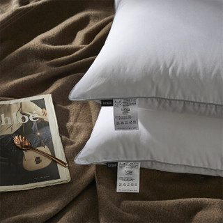 turqua 时光居品 6382309 纤维枕头 (白色、单人、48*74cm、一对装、九孔枕)
