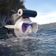 好物种草、去海边：KINNOSCUBA GULL 锤头鲨 潜水头套