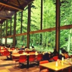 2晚星野度假村!全国多地-日本北海道6天5晚自由行
