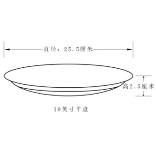 SKYTOP 斯凯绨 陶瓷盘子骨瓷餐具西餐盘大号牛排盘纯白10英寸