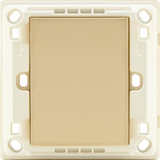 飞雕（FEIDIAO）开关插座面板 空白面板 插座盖板空面板白盖板 盖线盒 86型A3香槟金