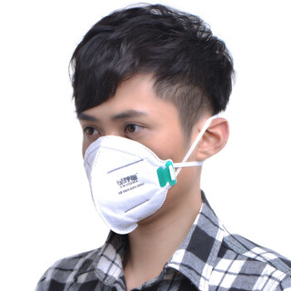 绿之源 绿呼吸N95折叠型防雾霾口罩白色5只/盒 防PM2.5甲醛异味颗粒物粉尘穿戴式净化器