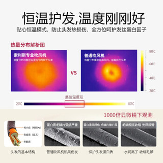 京东自营家用大功率静音恒温负离子电吹风