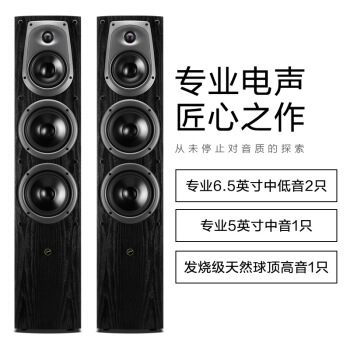 HiVi 惠威 D50F 2.0声道落地箱