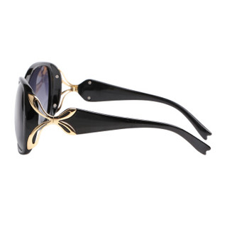 益盾（YIDUN）2265 防紫外线时尚太阳镜女款偏光潮流大框女士墨镜 黑色