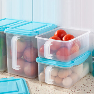 爱思得（Arsto）冰箱保鲜盒塑料收纳盒密封饺子盒速冻厨房收纳箱蓝色3件套装